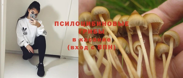 прущая мука Костерёво