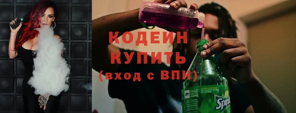индика Корсаков