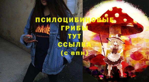 ECSTASY Коряжма