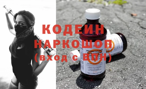 индика Корсаков