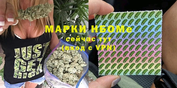 индика Корсаков