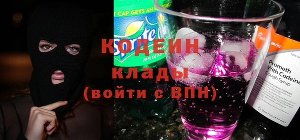 индика Корсаков