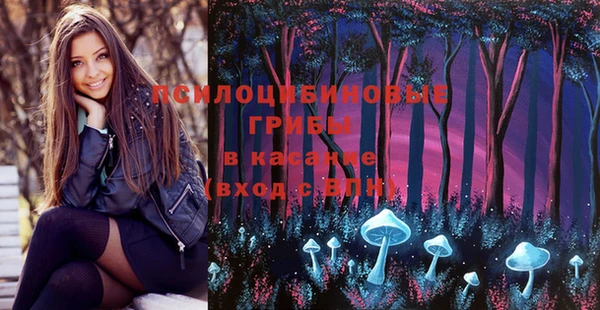 индика Корсаков