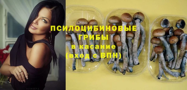 индика Корсаков