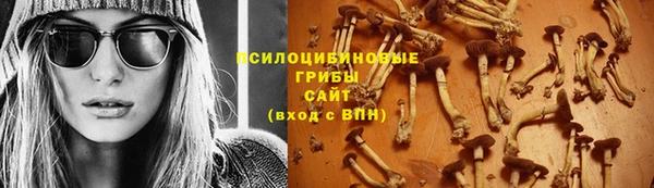 ECSTASY Коряжма