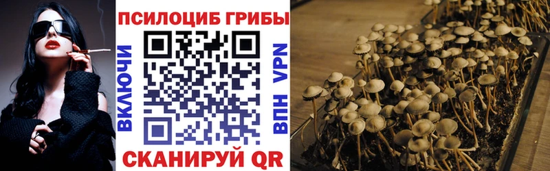 Псилоцибиновые грибы Psilocybine cubensis  Купить  Льгов 
